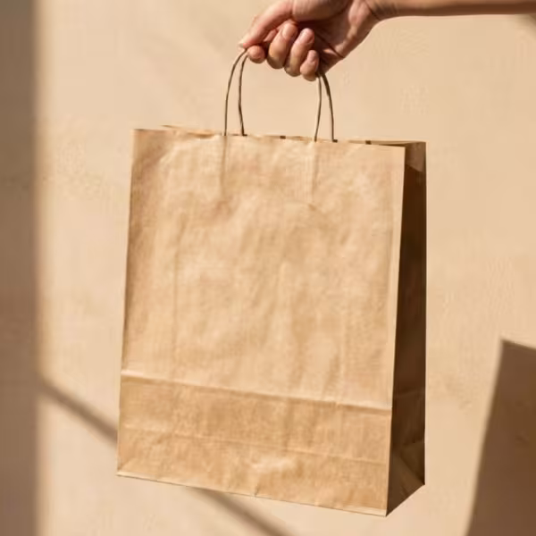 Economy Carry Bag